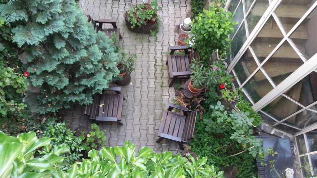 Bed and Breakfast Vila Monica Тиргу-Муреш Екстер'єр фото