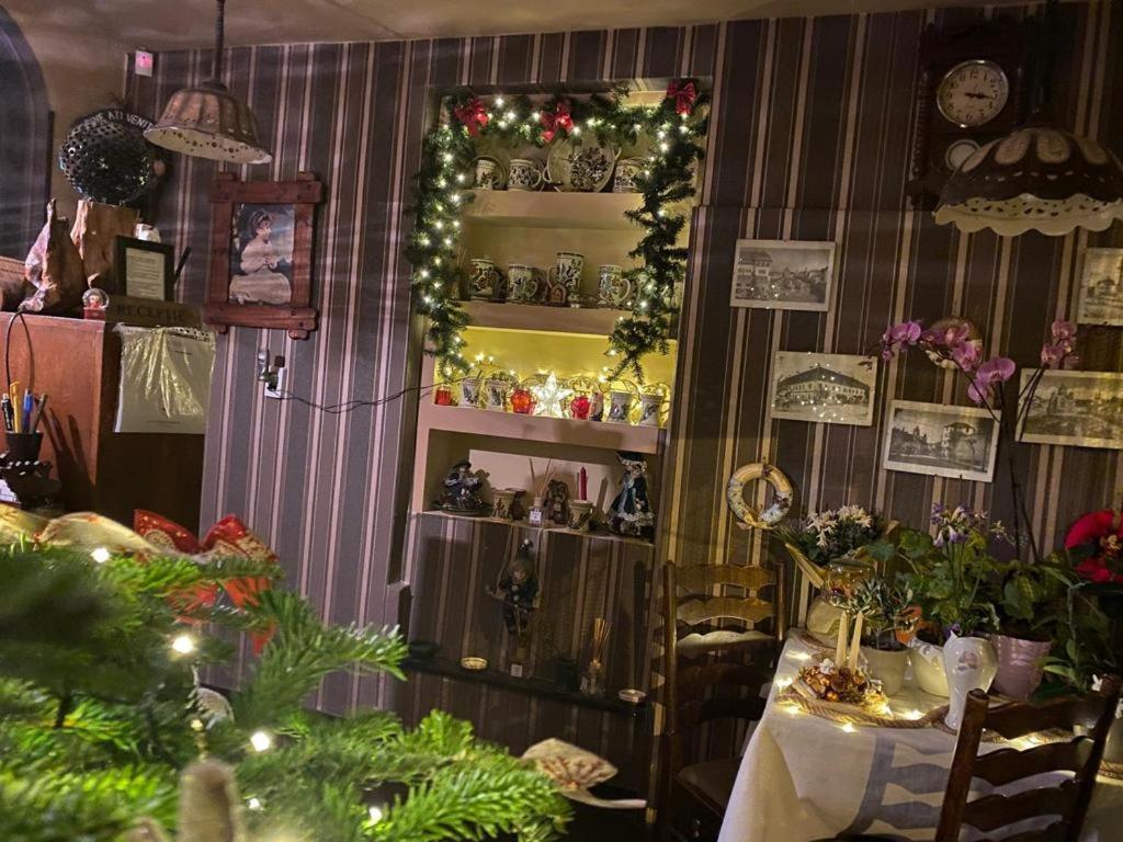 Bed and Breakfast Vila Monica Тиргу-Муреш Екстер'єр фото