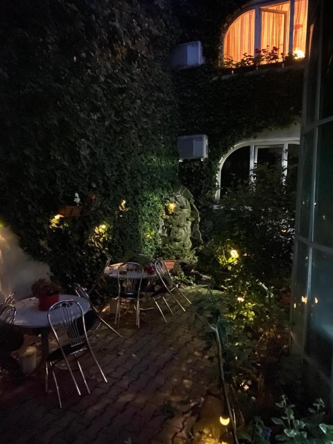 Bed and Breakfast Vila Monica Тиргу-Муреш Екстер'єр фото