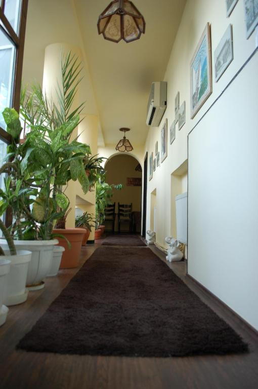 Bed and Breakfast Vila Monica Тиргу-Муреш Екстер'єр фото